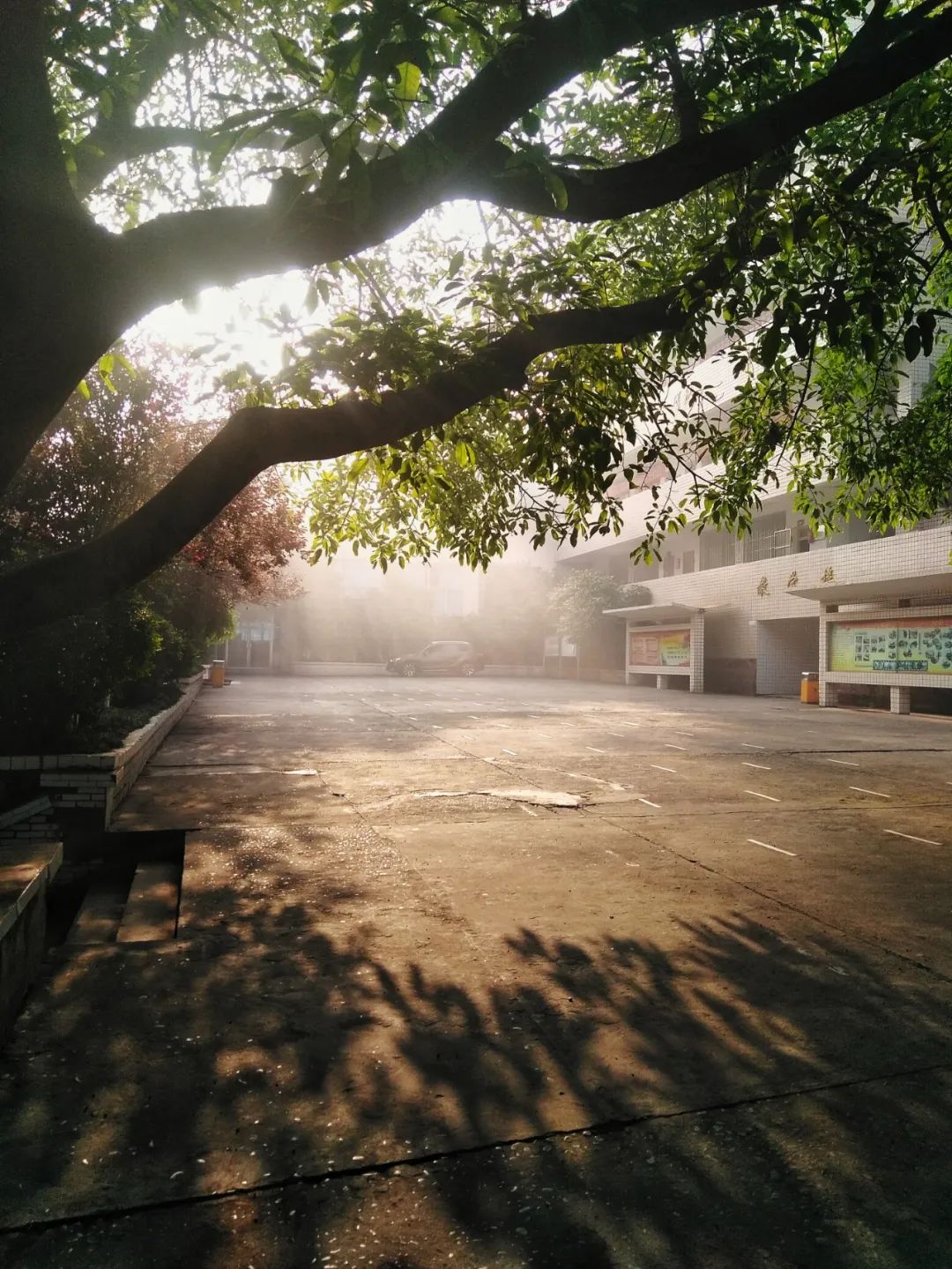 第二篇章 安静的校园自贡市汇东实验学校自贡市沿滩区龙湖中学校富顺