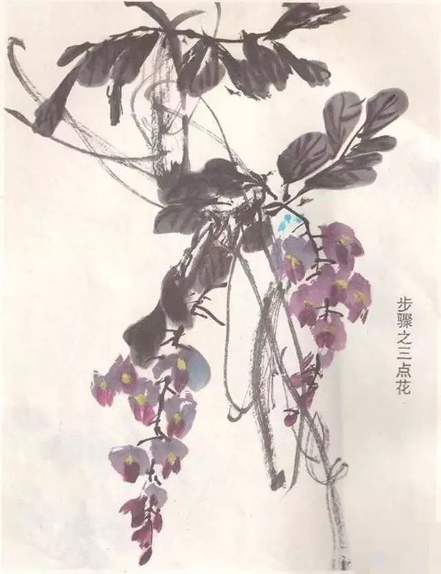 春天,画一组盛开的紫藤花吧!