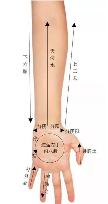 小儿推拿新书图谱分享:一张手掌图看多个穴位位置关系