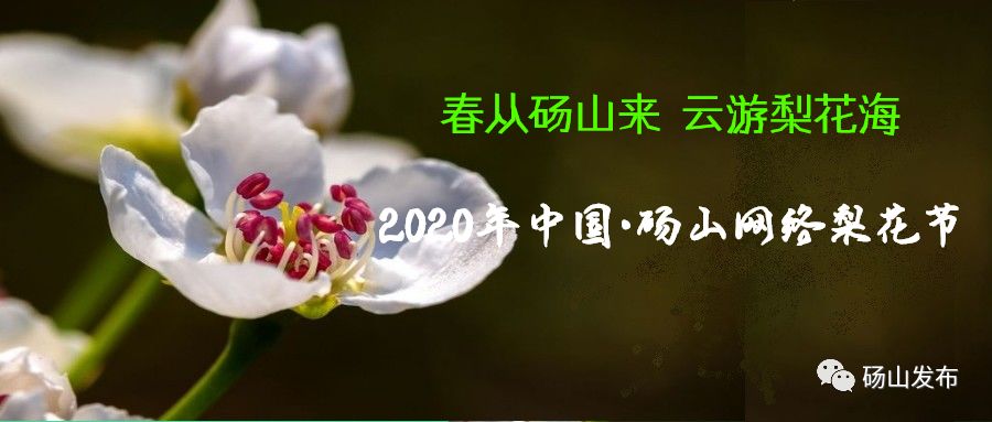 砀山2020gdp_砀山县2020年1-7月份财政收支情况分析