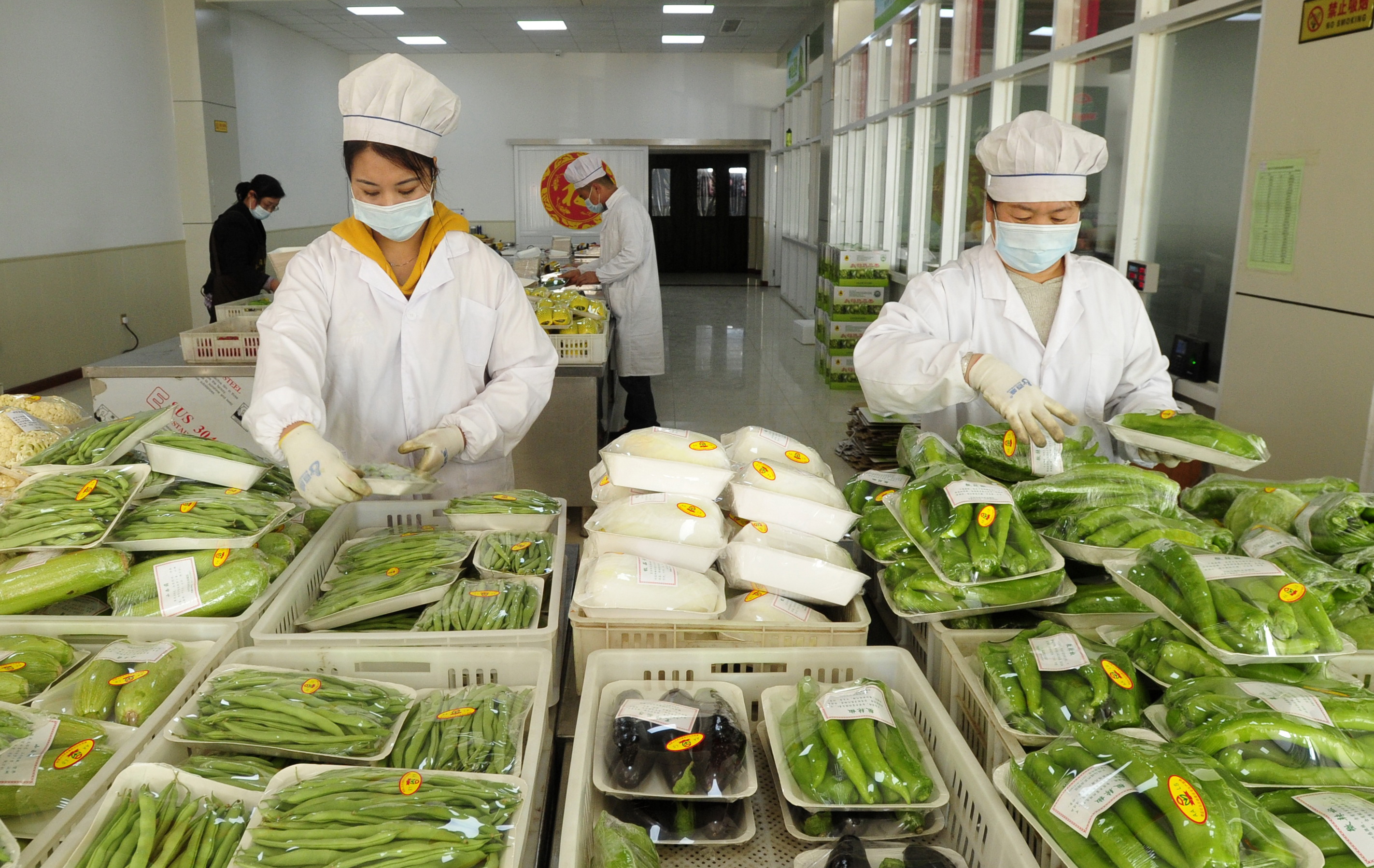 3月24日,河北省青县一现代农业示范园工人在包装车间整理待销的蔬菜.