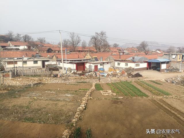 春暖花开的时候,再次来到这个普通小山村——山东省莱州市程郭镇金牌