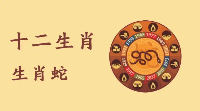12生肖如何在2020年增加自己的偏财运?不看亏大啦!