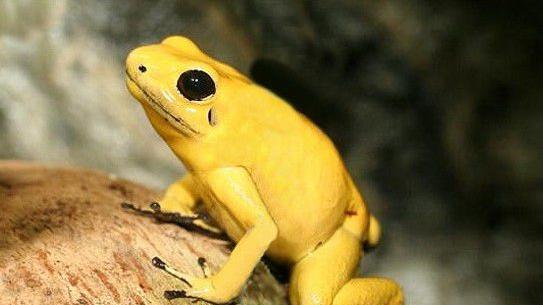 2c4ff12bf3b24be1bd0d9329cdd2ef7c.jpeg