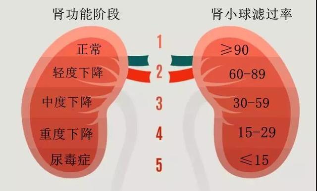 344aaacbf5dd491ebc0535fc0fd4385f.jpeg