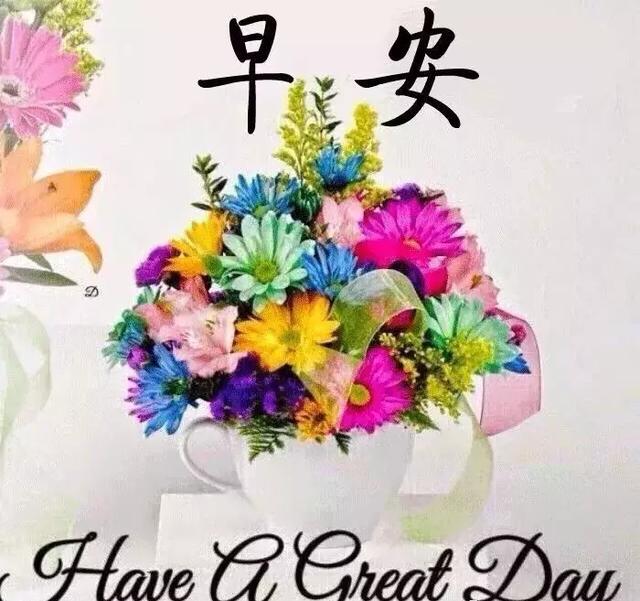 早上好图片问候语 最好看的早安祝福图片大全