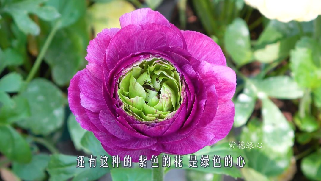 44845de36c2c443ebdcca47c59110dcc.jpeg