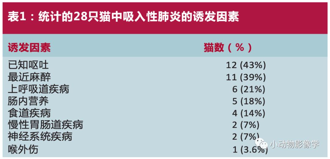 犬猫吸入性肺炎诊断的2个要点