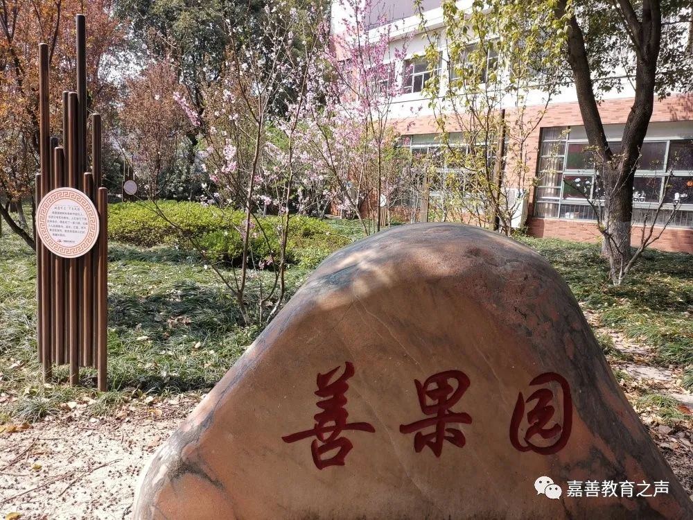 吴镇小学:绿草蔓如丝