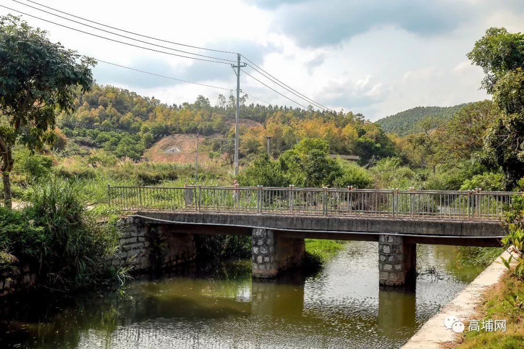 【爆】高埔"大草原"成了抖音"网红"点._上坝村