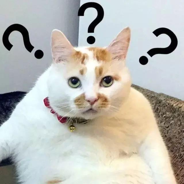 选择粉底时提到的黄一白黄二白是什么意思?