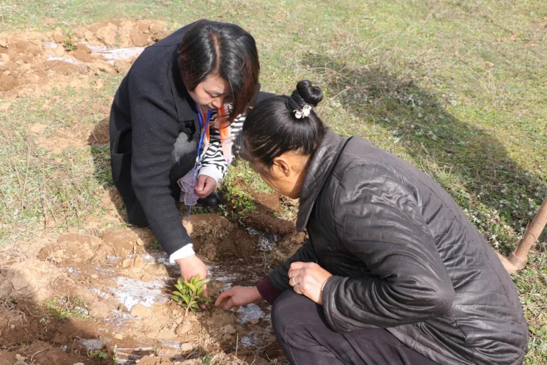 谁说女子不如男?巾帼能擎半边天——记威宁县龙街镇林业站站长邓慧群