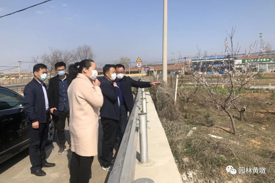 黄墩镇人口_人口普查