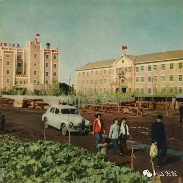 牙克石1960年昔日的林城那些老照片看看有没有你的身影