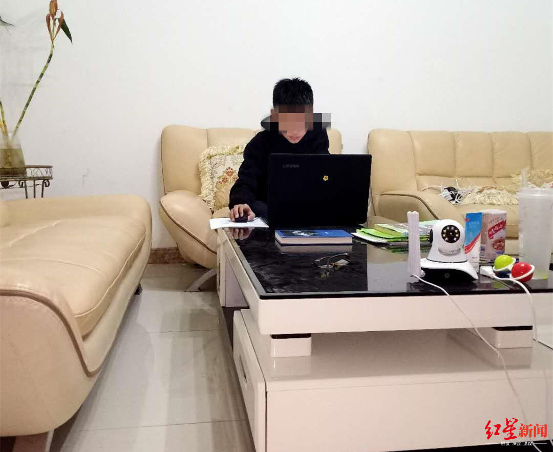 红星观察·“疫”面|新冠下田园梦:生意停摆,