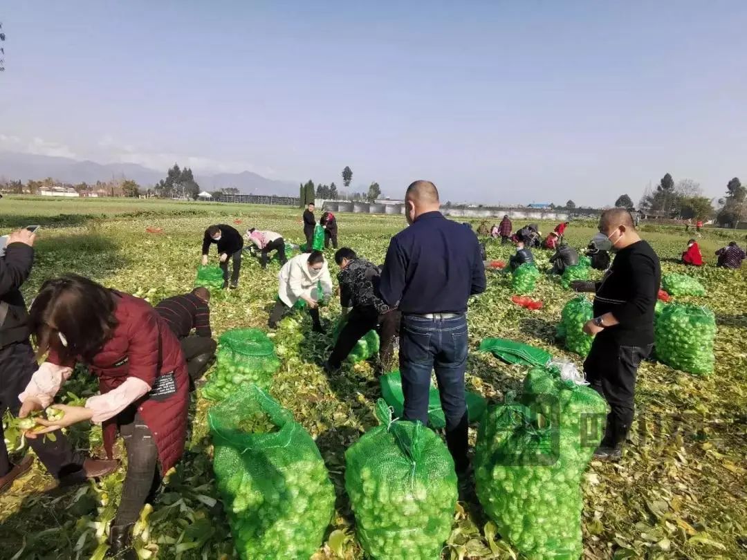 德阳市2020年一季度G_德阳市地图