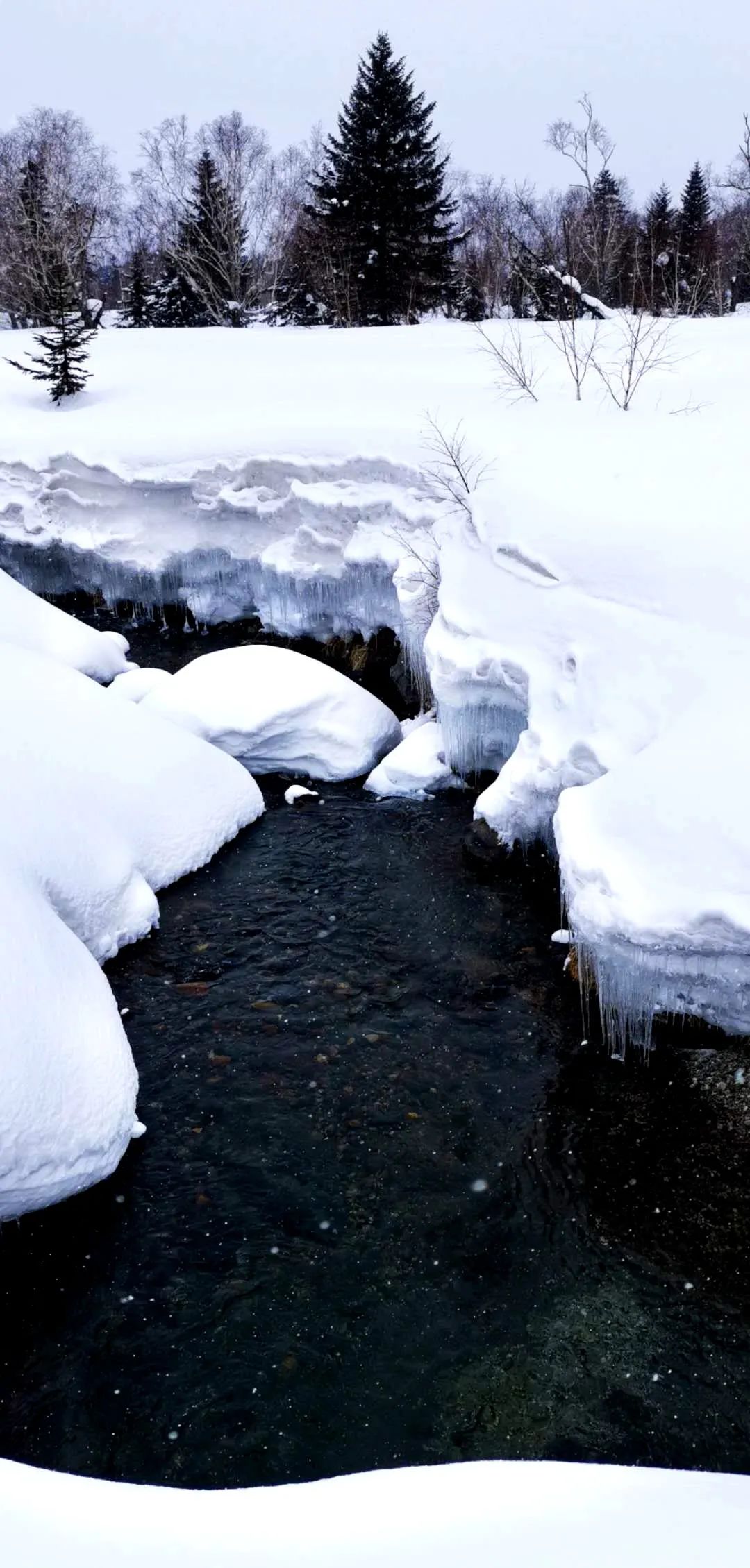 五绝 题赵春江摄仲春长白山雪景(五首)丨 诗词/ 吴文昌 摄影/赵春江