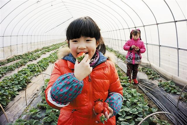 「孩子」容易被寄生虫盯上，尤其是后一种，许多家长还在买四种美味水果