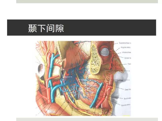 【牙医干货】口腔颌面部间隙感染(多图)!