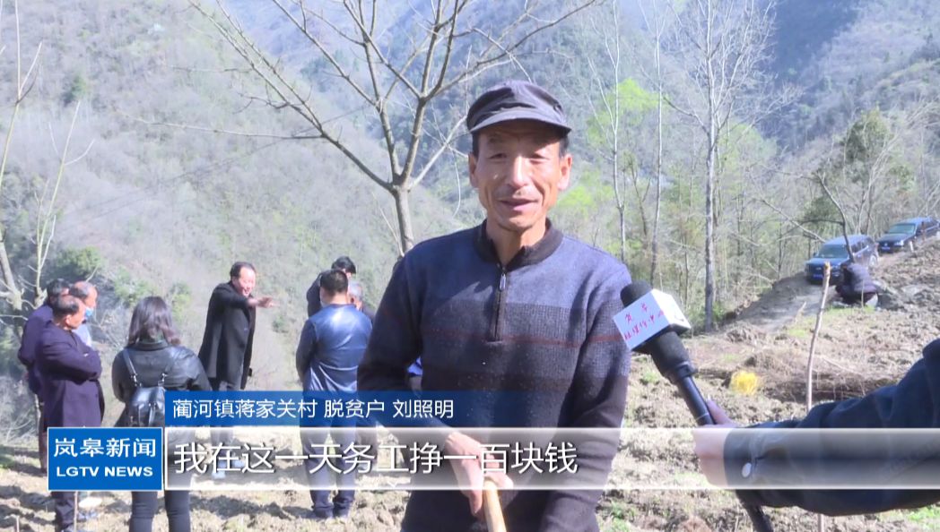 蔺河镇:抓种植技术培训促魔芋产业增产增效_刘照明