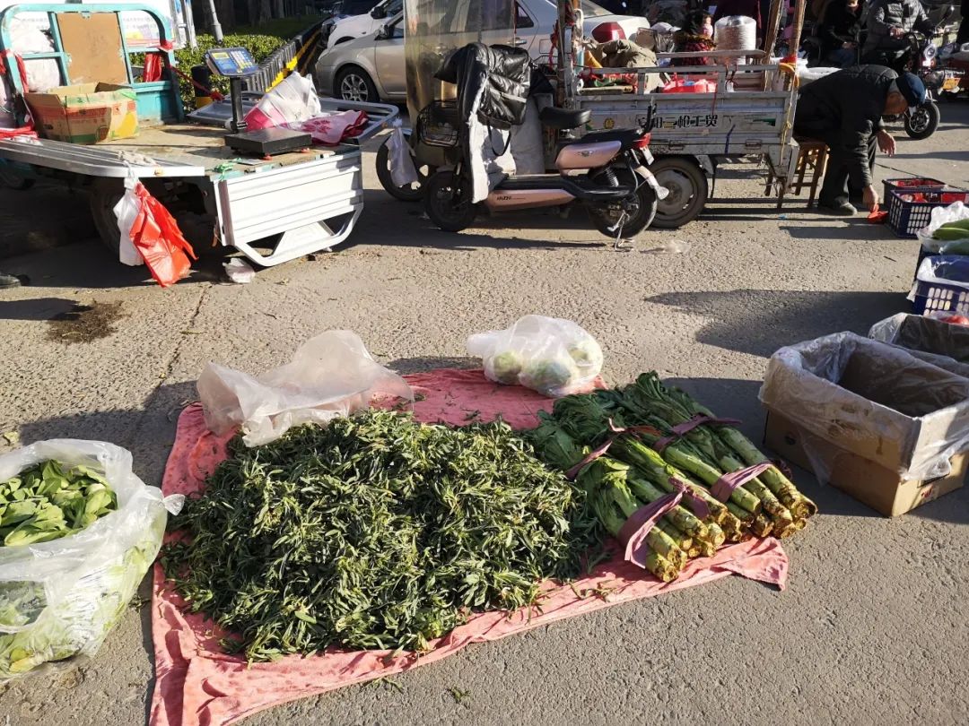 各大菜市场陆续开放,竟然变化那么大,这些