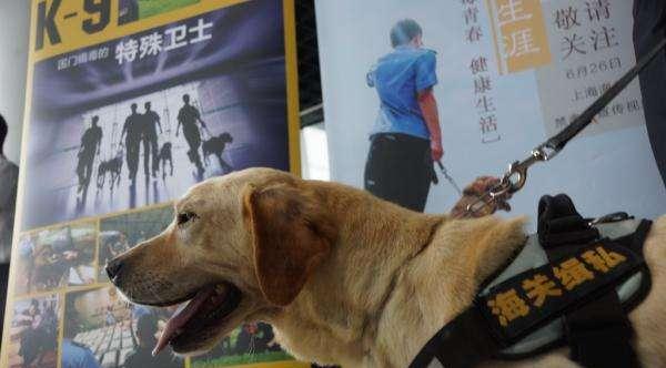cc8a4a43971a486ead1c378b1f50e0e8.jpeg