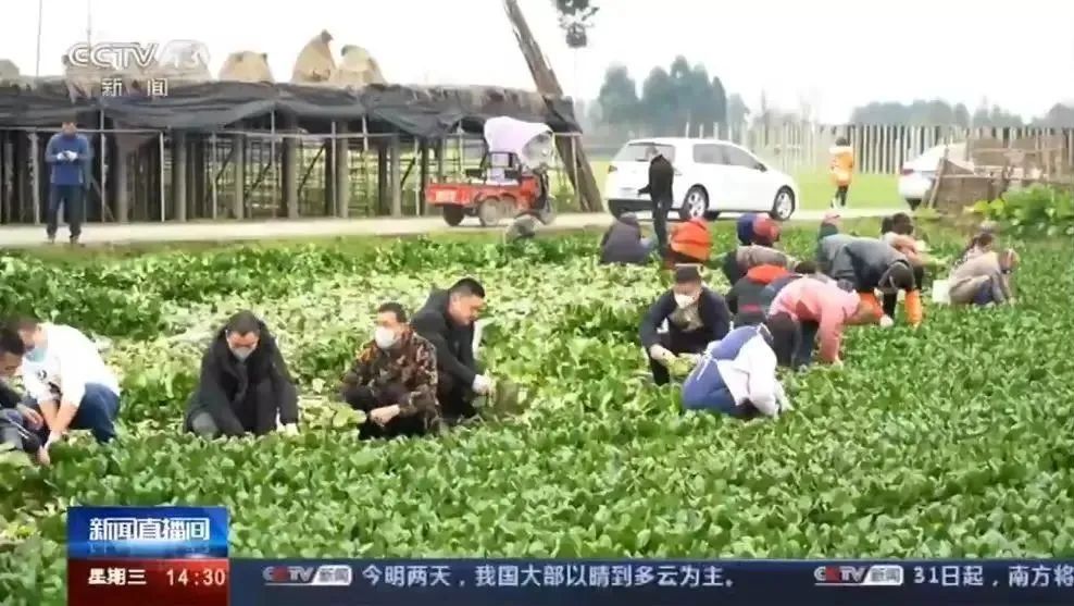 德阳市2020年一季度G_德阳市地图