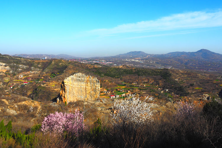 风光三月南岭美 山花烂漫景如画_新村