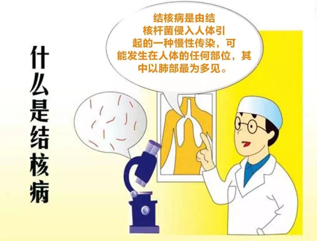 324日世界防治结核病日丨携手抗疫防痨61守护健康呼吸新郑市第二