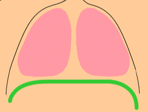 保护肺只是防空气污染?还有这些