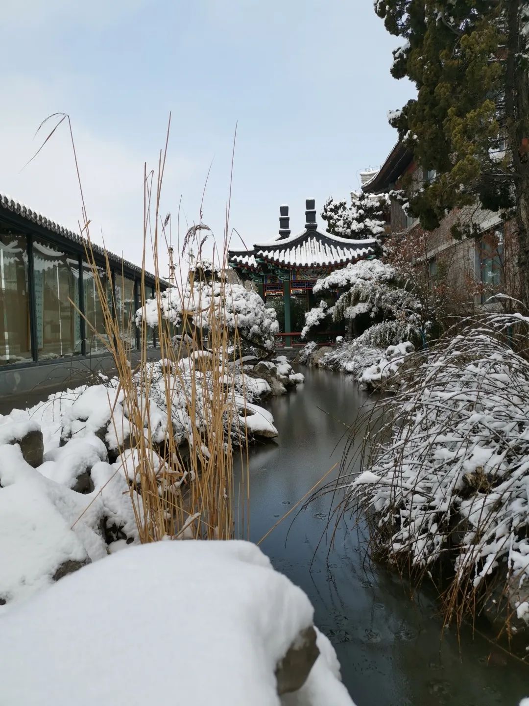 感谢无锡造园专家华雪寒老师的参与和指导闲庭书法艺术