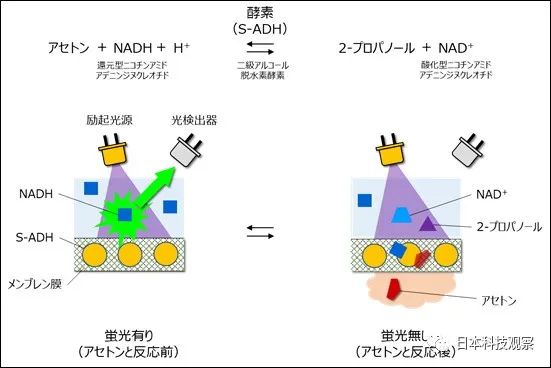 糖尿病人口中酮体味_醛和酮在生活中的应用