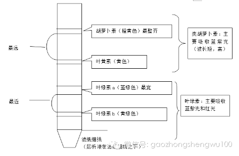 色素的原理_激光治疗色素病变原理(2)