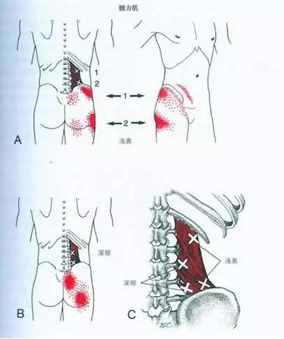 腰新乡总人口_新乡职业技术学院(3)