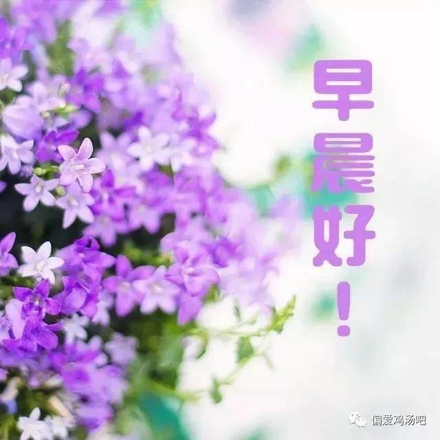 早上好,一份牵挂,一生朋友!愿你快乐一生! 幸福一世