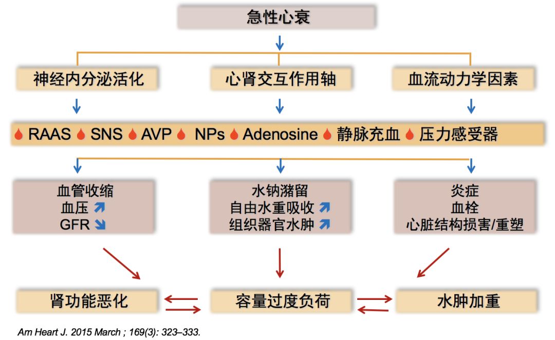 沈潞华教授心源性水肿的诊断与鉴别诊断