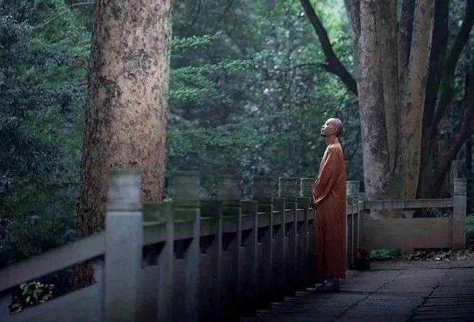 佛说:放过自己(说的极好)