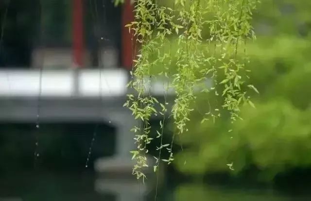立春曲谱_立春海报(3)