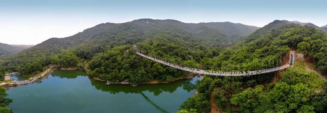 定了,金顶山景区,三秋醋博园恢复开园,免费,福利都在这.