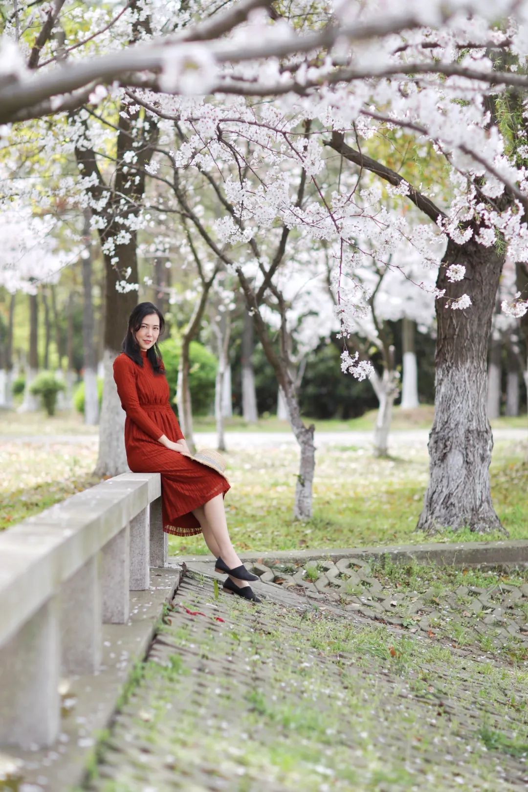 拍照技巧教程树林 2c720e407d024b3591b1dad906a32d6b.jpeg