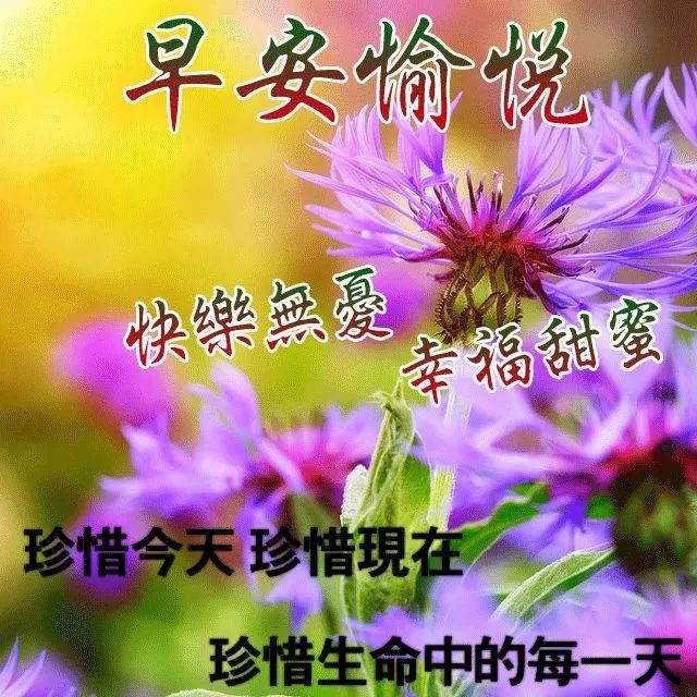 三月初二早上好问候语动态图片大全 清晨祝福表情