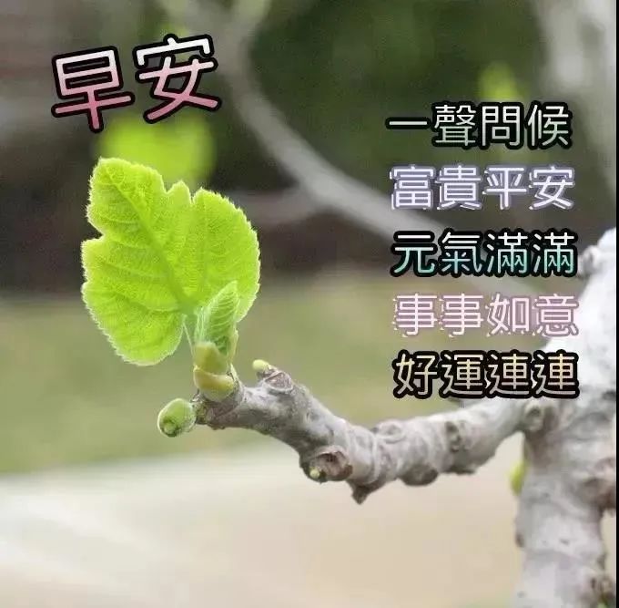 2020三月初二最暖心的早安祝福语短信大全 周二早上好
