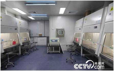 中国：我在武汉29天，见证中国基建攻坚战疫