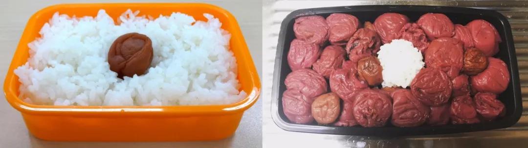 【网友】你永远也想不到可以在日本网友的便当盒里看到什么