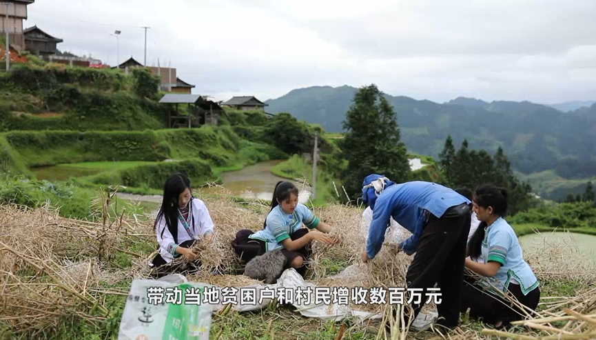 《美好时代》吴玉圣和"七仙女:侗乡书记带领村民脱贫致富_盖宝村