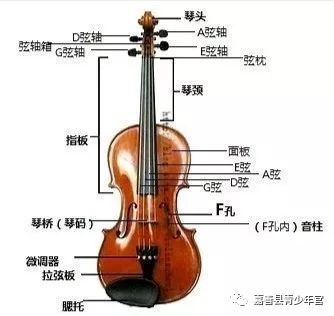 嘉善县红领巾公益课堂(十六)——小提琴学习基本知识