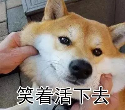 2020云南各城市房价_2020年云南的房价会下跌吗?