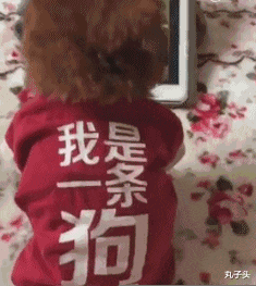 女友出差发来一张自拍照网友说我被绿了哈哈哈哈这真是太惨了