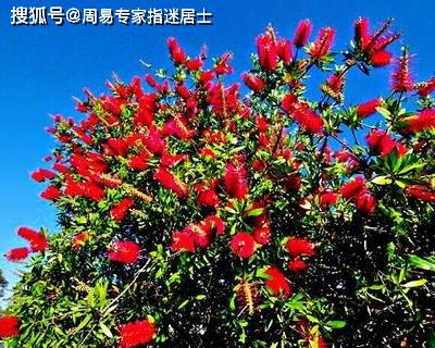 ָФ20224:ΪûǮ