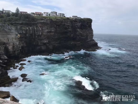 新南威尔大学排名_澳大利亚国立大学和新南威尔大学6大优劣势对比(2)